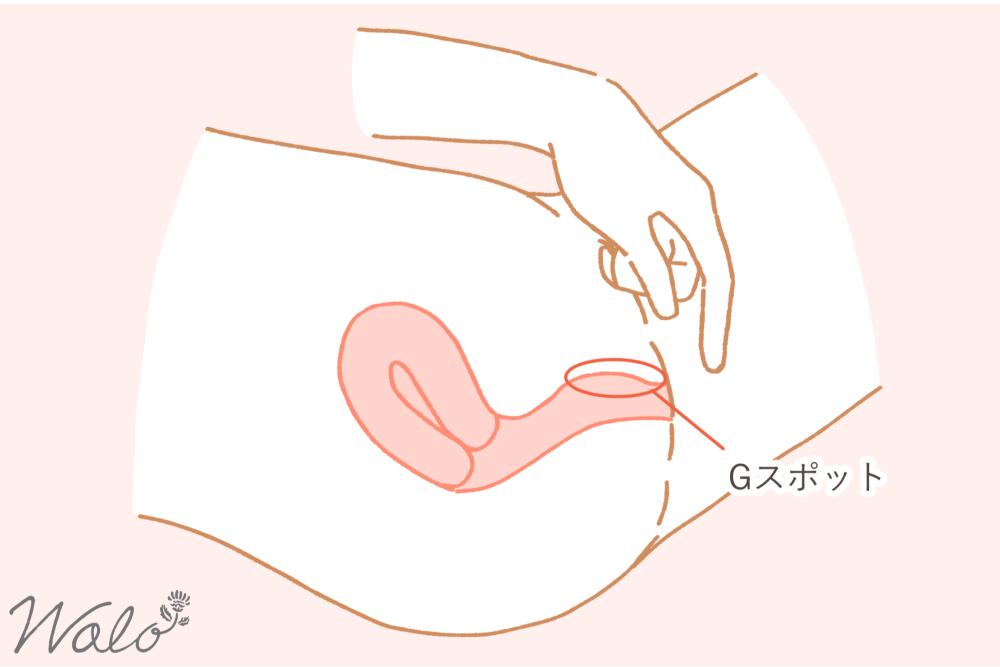 Gスポットで中イキするやり方➀Gスポットの位置を確認する方法