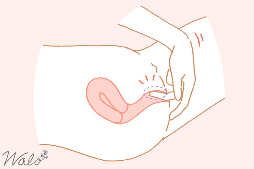 Gスポットで中イキするやり方③中指を挿入して刺激する様子のイラスト
