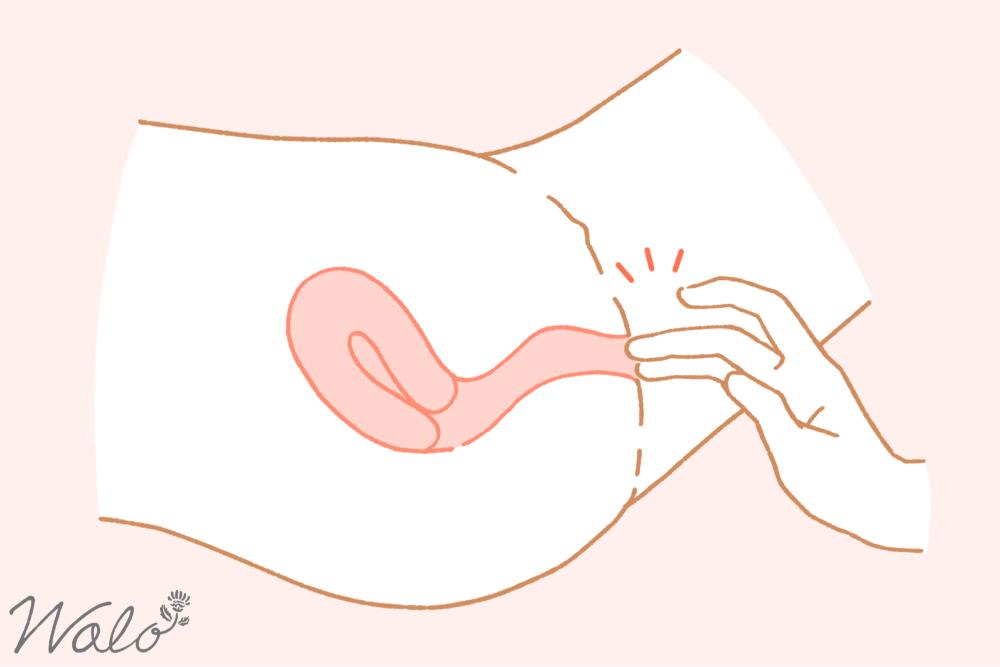 裏Gスポットを開発するための方法①膣口に手を添えているイラスト